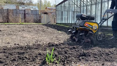Man plows the land with a mini combine harvester for growing vegetables Stock Footage 240728517