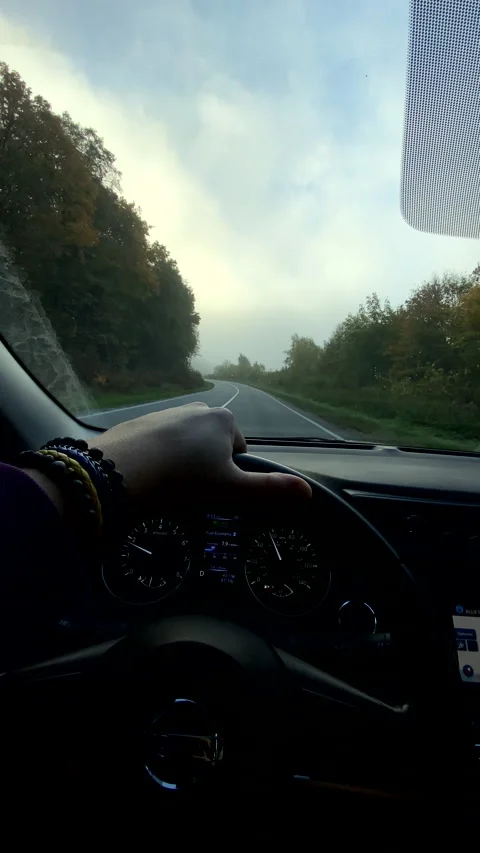 Man point of view driving car by autumn foggy road Stock Footage 219629908