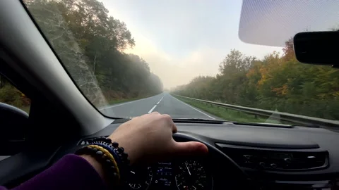 Man point of view driving car by autumn foggy road Stock Footage 219630306