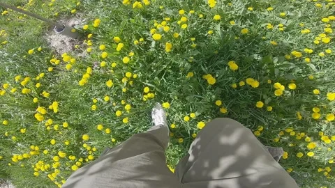 Man point of view legs walking by dandelions field Video stock 154319561