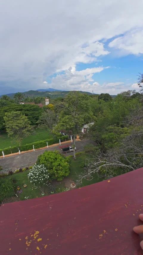 Man point of view panning for overlooking a leafy park. 動画素材 338033605