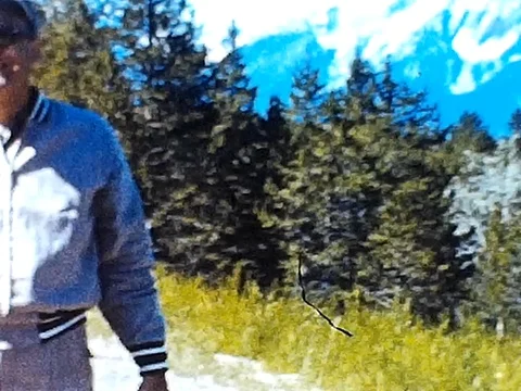 Man pointing at mountains Stock Footage 78008333