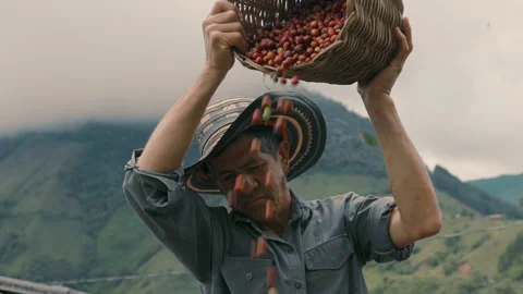 A Man Pouring Coffee Beans Stock Footage 270967377