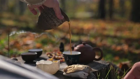 Man pouring tea from a clay pot into a tea bowl. traditional tea ceremony Stock Footage 229859035