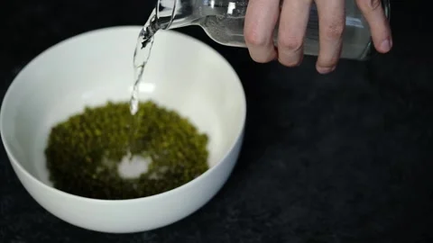 Man pouring water on beans, germination of microgreens. Mash, mung bean Stock Footage 170685461