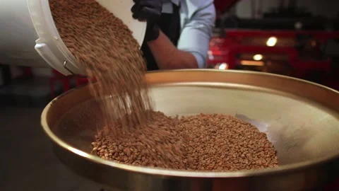 A man pours fresh raw coffee beans from a basket to a professional roaster. Stock Footage 146988206