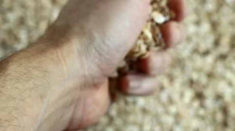 Man pours out of the hands of oats Stock Footage 47587454
