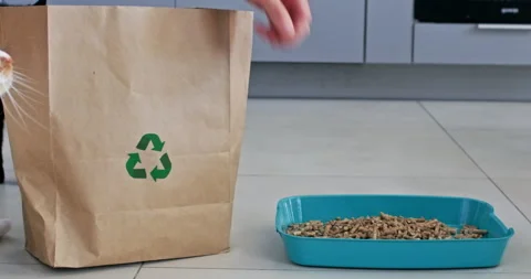 Man pours pellets out of paper bag while cats stand nearby Video stock 286035560