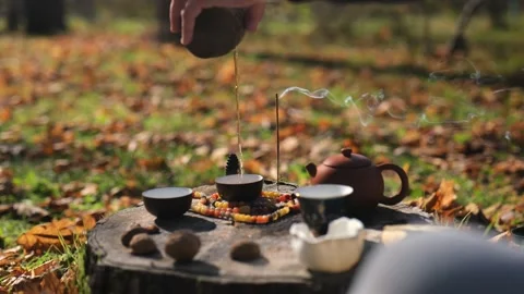 A man pours pu-erh from pottery into bowls waiting for tea. chinese tea cer.. Stock Footage 229859498