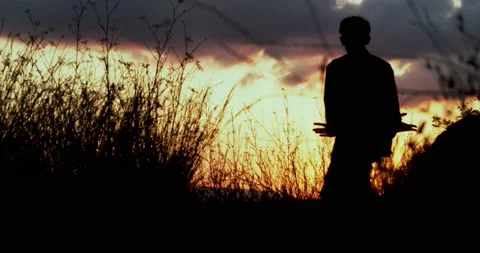 Man practicing Chinese gymnastics or chi kung during a sunset in nature Stock Footage 136026792