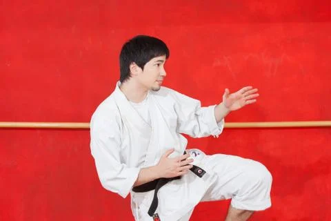 Man practicing karate Foto stock
