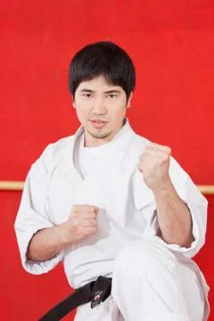 Man practicing karate Stock Photos