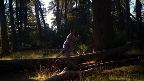 Man Practicing Kung Fu Shaolin Stock Footage 129909435
