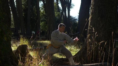 Man Practicing Kung Fu Shaolin Stock Footage 129909499