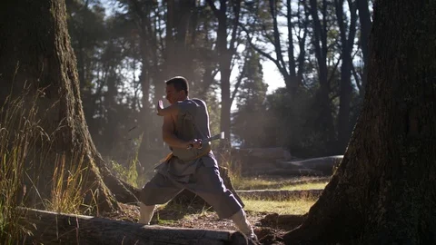 Man Practicing Kung Fu Shaolin Vídeo Stock 129915703