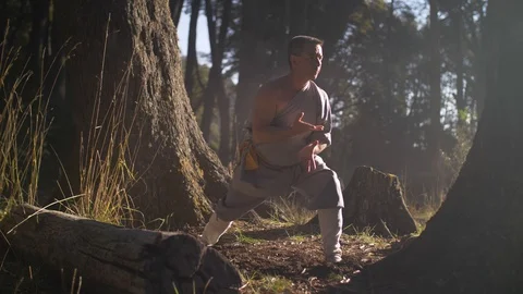 Man Practicing Kung Fu Shaolin Stock Footage 129918286