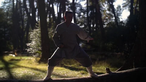 Man Practicing Kung Fu Shaolin Stock Footage 129923938