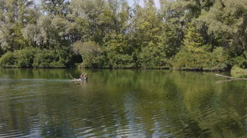 Man practicing slackline over the surface of the river 스톡 동영상 140693995