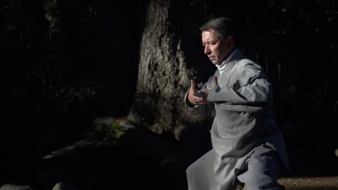 Man Practicing Tai-Chi In Nature Stock Footage 129903435