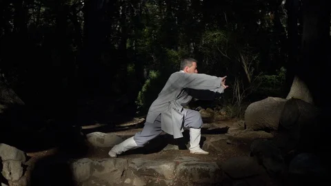 Man Practicing Tai-Chi In Nature Stock Footage 129903769