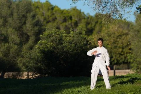 Man practicing Tai-Chi in the park Stock Photos