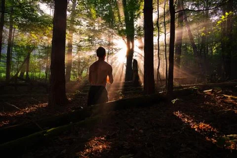Man praying shirtless in the forest under sun light beams. Stock Photos
