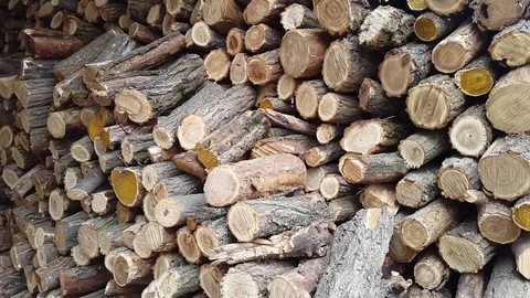 Man prepares firewood stack.Stocking up of firewood Stock Footage 73605120