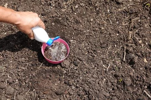 Man prepares soil test to know the microbial life of the soil with hydrogen.. Stock Photos