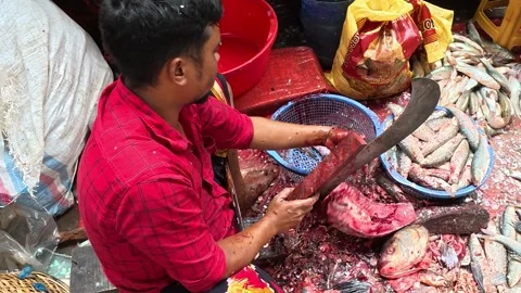 Man Preparing and Cutting Fish at Busy Dhaka Market Stock-Footage 343150141