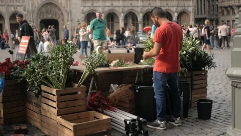 Man preparing and selling flowers at the grand place in Brussels Stock Footage 105952553