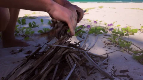 Man Preparing Campfire on Beach Close Up Vídeos de archivo 331129414