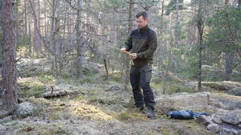 Man preparing camping gear in a quiet pine forest wilderness 库存影片 333690495