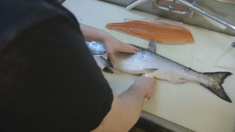 Man preparing a fillet of fish Stock Footage 104867999