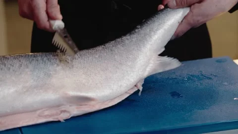 Man preparing fish salmon 스톡 동영상 135522272