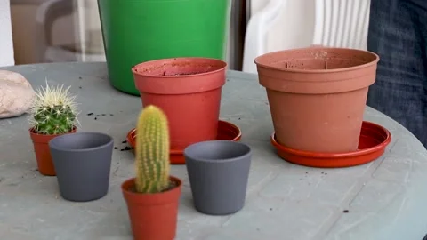 Man preparing plants on balcony Video stock 151589285