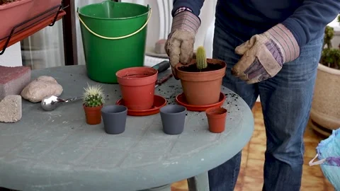 Man preparing plants on balcony Video stock 151589517