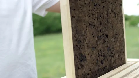 Man Presenting Cork Insulation Panel in Wooden Frame, Green Meadow, Medium Shot Stock Footage 341296684
