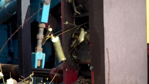 A man processes wood  with shredder.Device chopping wood to chips Stock Footage 126205000