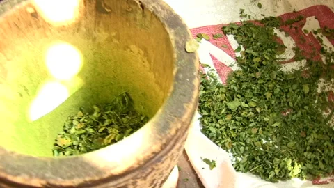 Man processing dried moringa leaves in a pestle and mortar Stock Footage 161016926