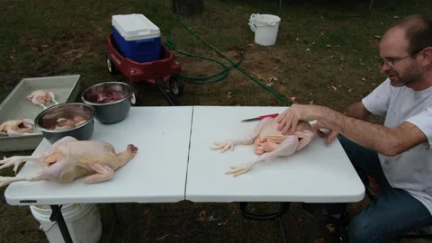 Man processing his own grow organic freshly butchered broilers Stock-Footage 250975617