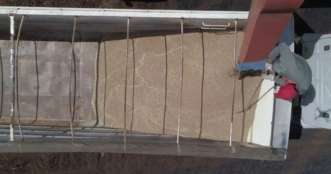Man processing wheat in truck Video stock 124857654