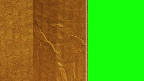 Man Professional on Chroma Key for Compositing Stock Footage 345498213
