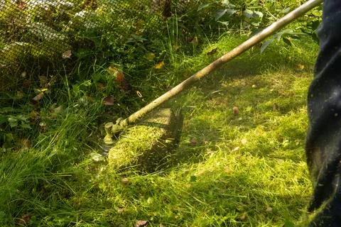 Man professional gardener using grass trimmer to cut lawn in backyard Stockfoto's