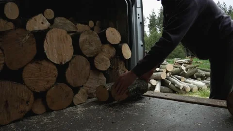 Man properly uploads firewood logs in a truck Video stock 131406896