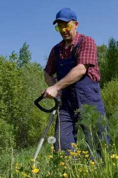 A man in protective glasses mows the grass with a lawn mower. Cutting grass. Stock Photos