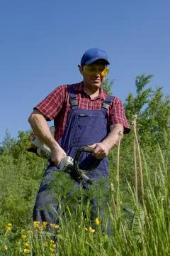 A man in protective glasses mows the grass with a lawn mower. Cutting grass. Stock Photos
