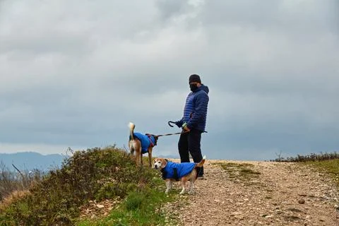Man in protective mask, walking with two dogs Stock Photos