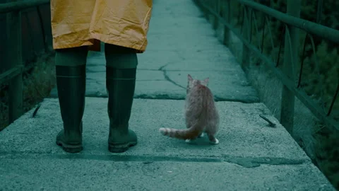 Man in protective suit, rubber boots walks across bridge with a cat against. Stock Footage 160969483