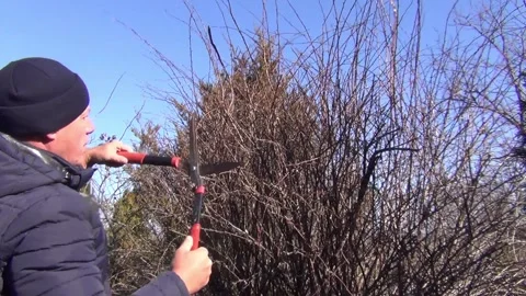 A man with a pruner cuts off the branches of a bush 스톡 동영상 149195518