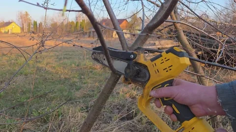Man pruning a fruit tree branch using a small yellow cordless mini chainsaw.. Vídeos de archivo 333791327